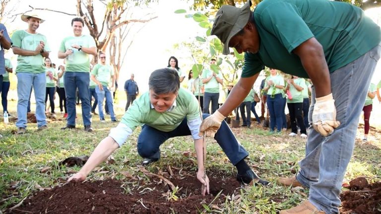 Famasul Anos Colaboradores Plantam Mudas Em Parque Urbano No Dia